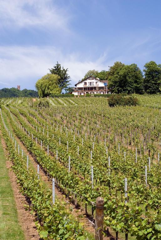 Le Clos Saint-Vincent Ribeauvillé Exterior foto